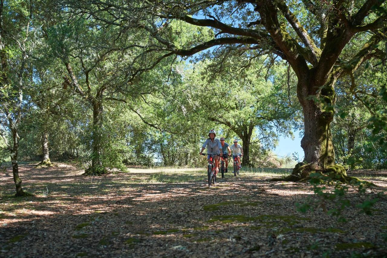 Casa Tolomei Bossi Di Sopra Castelnuovo Berardenga Buitenkant foto